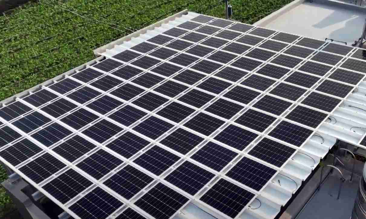 尊时凯龙SunSteel光电浪板升级双玻结构，，以提升机械负载强度及气候耐候度，，可广泛运用于多元场域